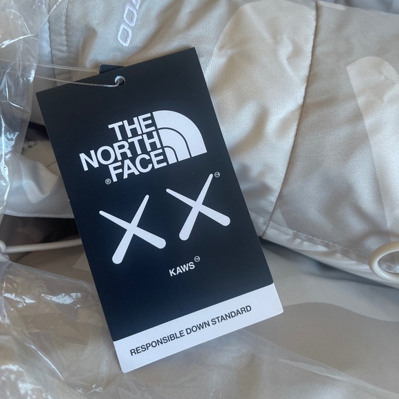 THE NORTH FACE + XX KAWS Retro 1994 Himalayan Quilted Shell Hooded Parka L - Picture 8 of 9